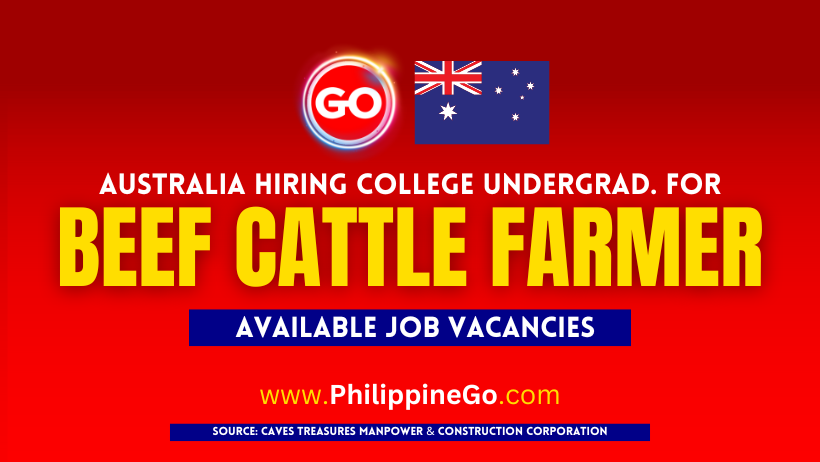 50 Beef Cattle Farmer Job Hiring In Australia 2024 Apply Now